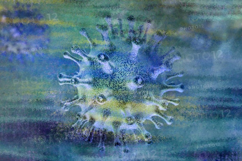 Viruses can make people sick like hepatitis or aids