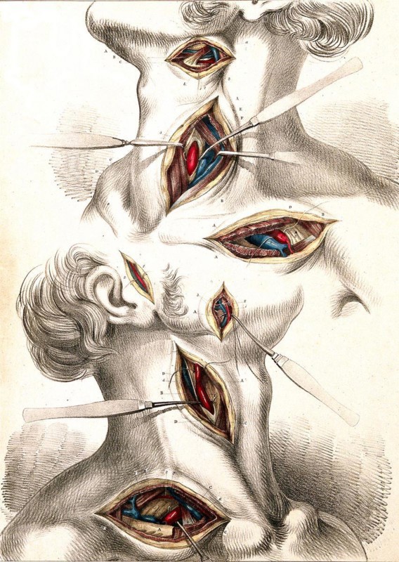 Medicine