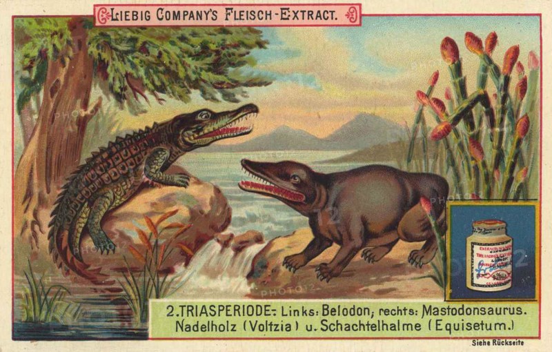 Triassic period