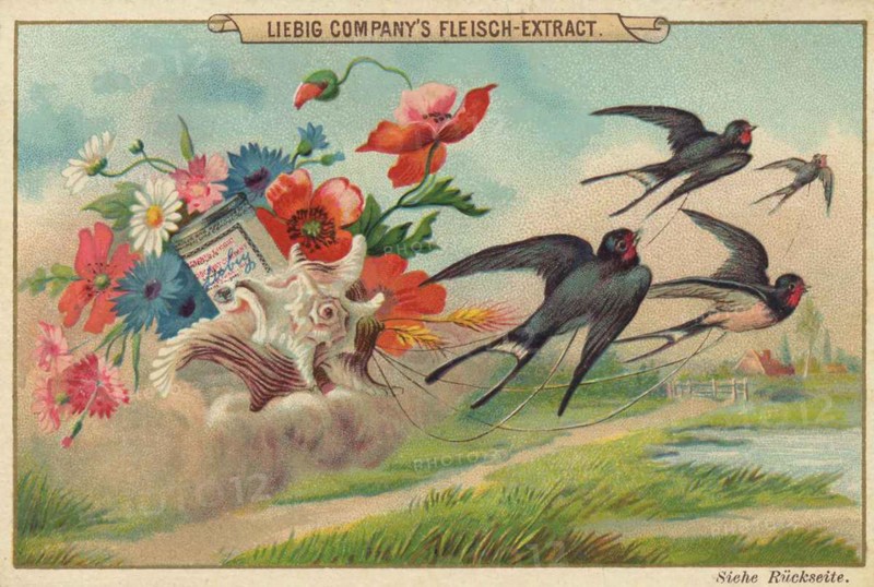 Shell with field flowers and swallows