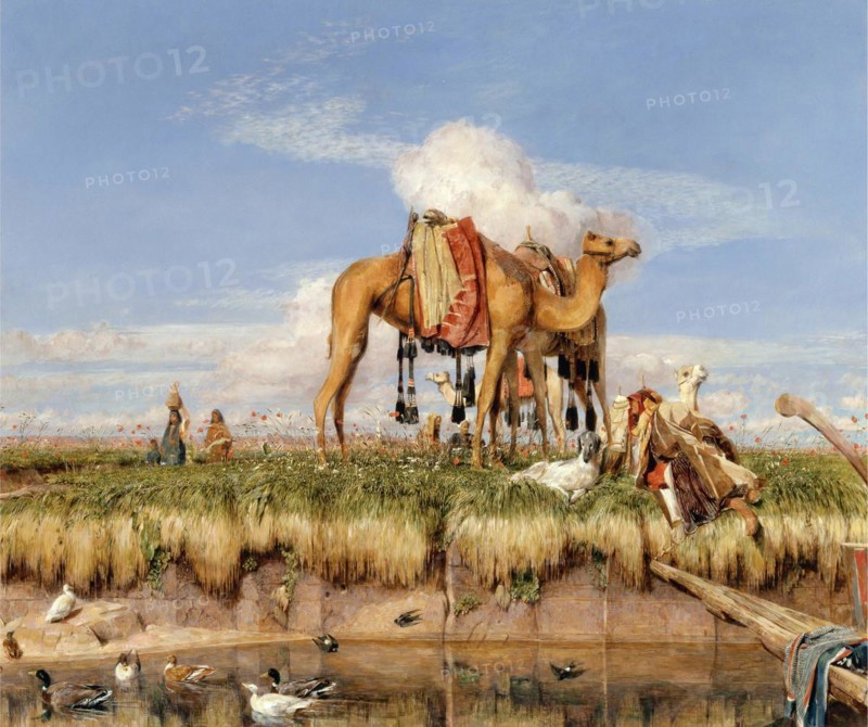 On the Banks of the Nile