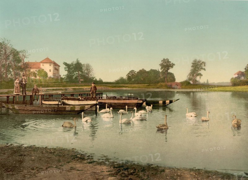 Wörlitzer See