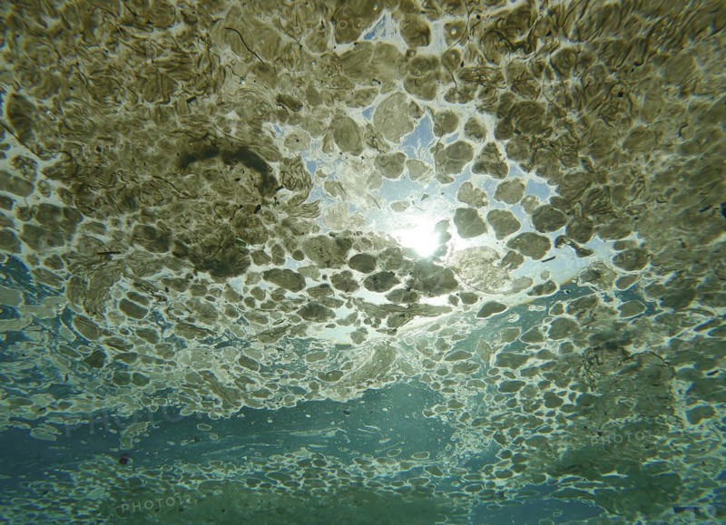 View from underwater to thick layer of fat covering surface of Ocean on bright sunny day