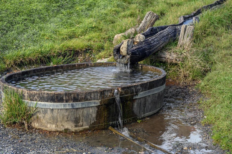 Wooden water pipe with wooden sheep