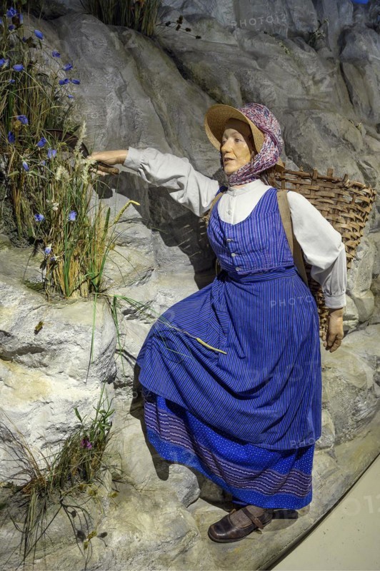 Figure of a herbalist