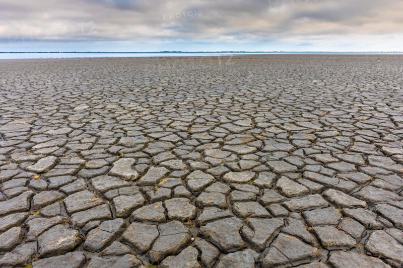 Cracks in the dried mud at the edge of the Vaccares pond