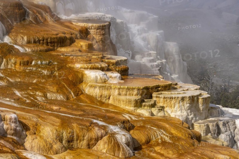 Canary Spring Sinter Pool