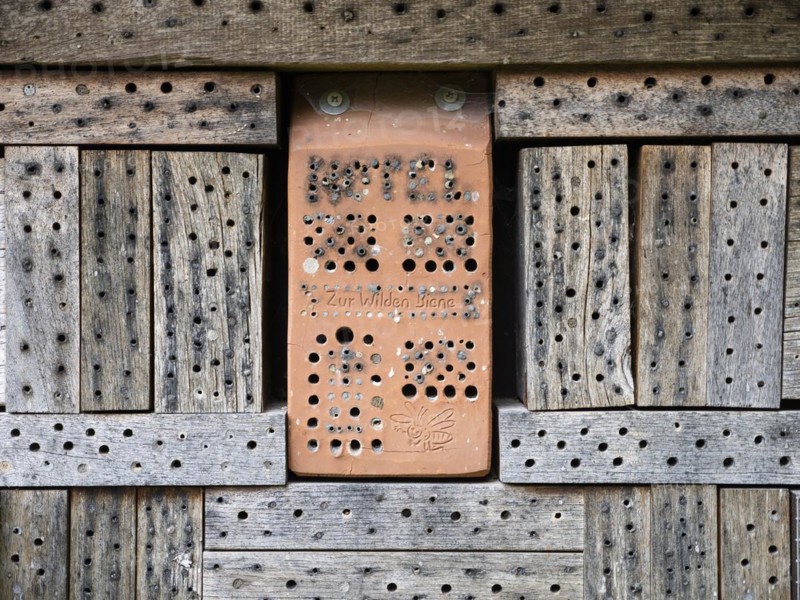 Wild bee nesting sites