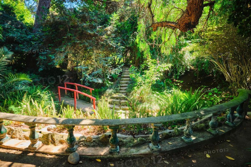 Red Chinese style bridge with wooden railings in lush greenery of asian part of tropical botanical garden in Lisbon