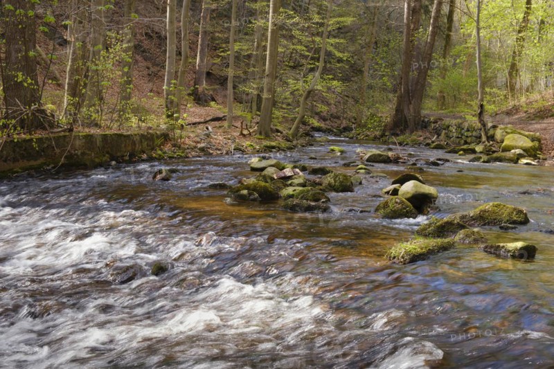 River Ilse