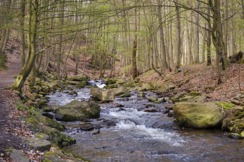 River Ilse