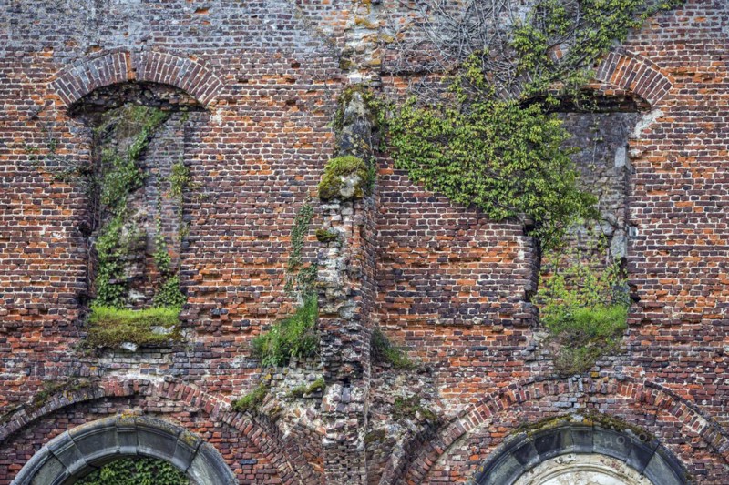 Ruin of the former abbey of Aulne