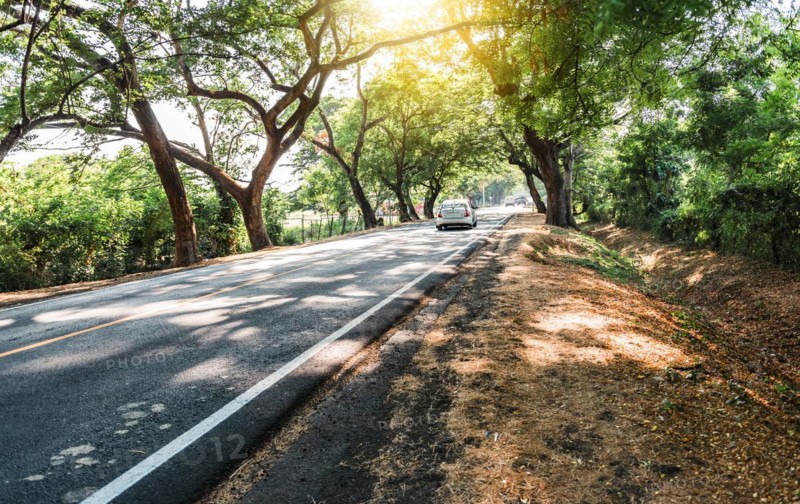 Car driving on an asphalt road surrounded by trees