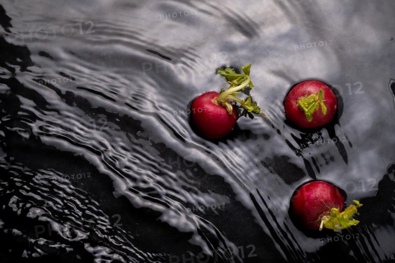 Radishes in the water with waves and green splash effect branches