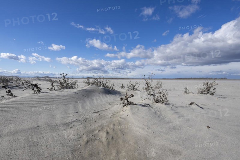 Sand dunes