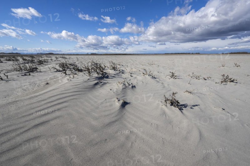 Sand dunes