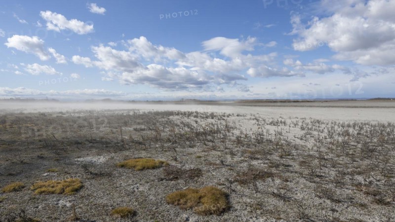 Heavily dried-up Zicksee