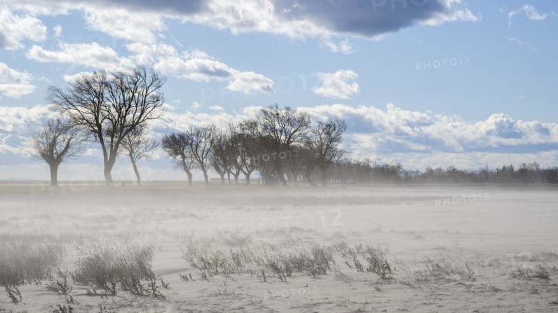 Wind drift