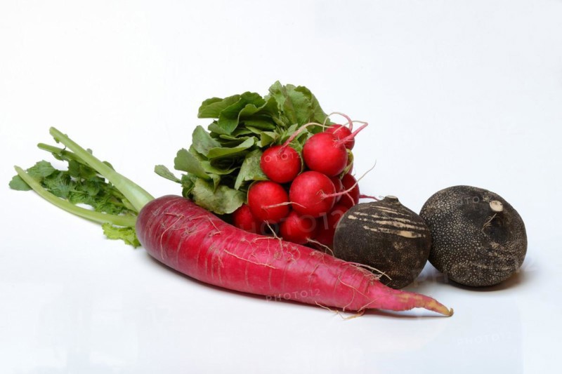 Radish