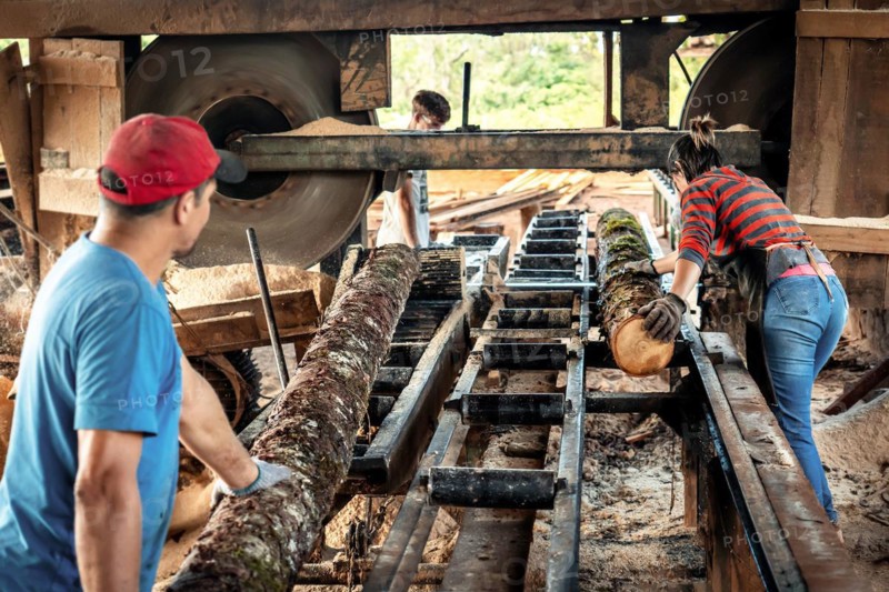 Woman in work clothes carrying a large log in a sawmill