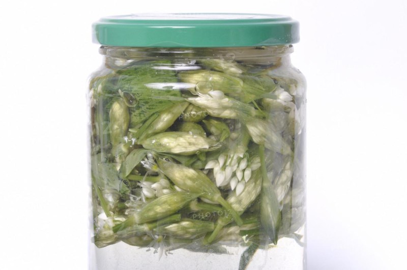 Wild garlic flower bud in lacto fermented