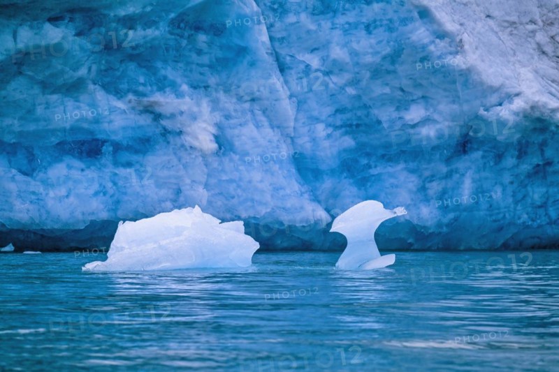 Melting ice floe in the water by a glacier in Svalbard