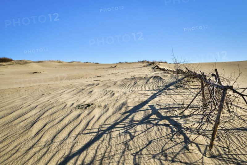 Beautiful view of nordic sand dunes and protective fences at Curonian spit