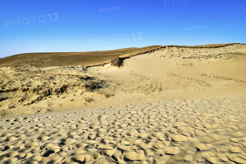 View of beautiful nordic dunes of Curonian spit