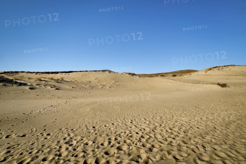 Nordic sand dunes