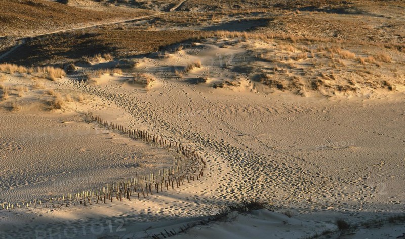 Early spring nature of nordic dunes