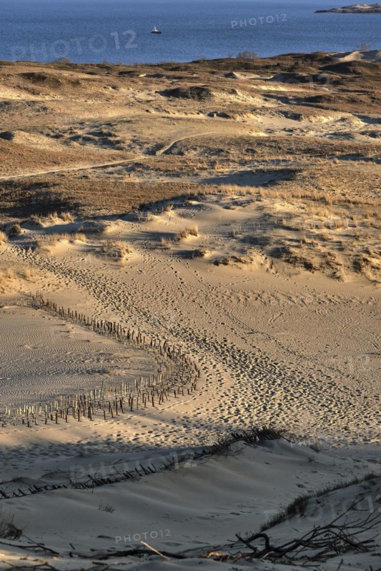 Early spring nature of nordic dunes