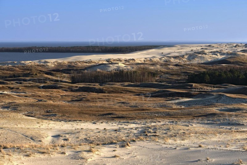 Early spring nature of nordic dunes