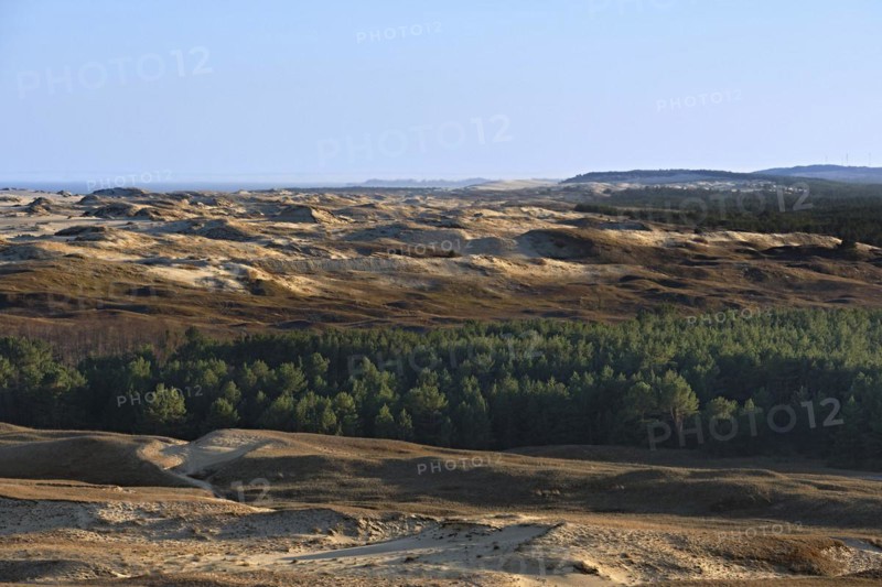 Early spring nature of nordic dunes