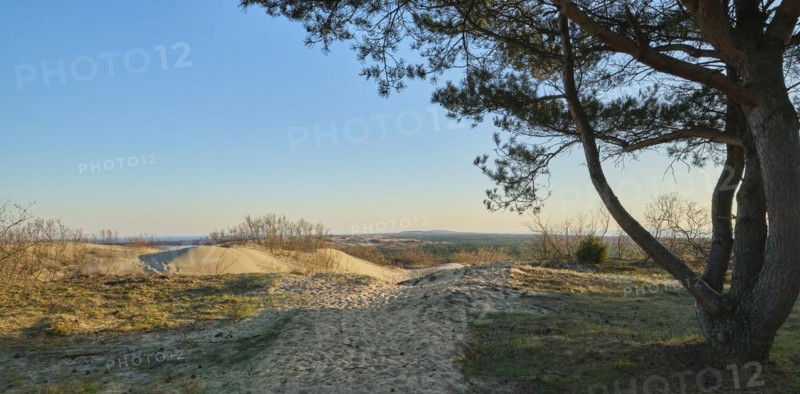 Early spring nature of nordic dunes