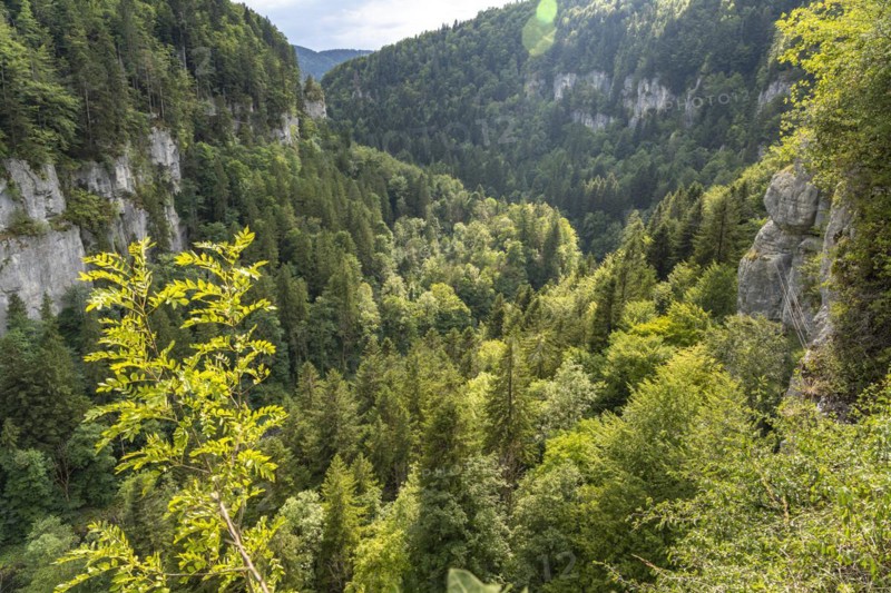 View into the gorge at the Echelles de la Mort death ladders in the Doubs valley