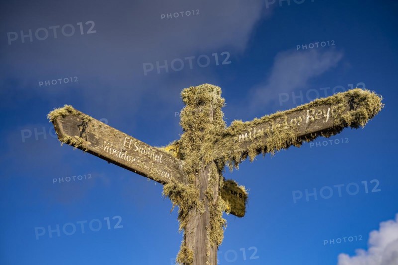Moss-covered signpost El Sabinal and Ermita de los Reyes