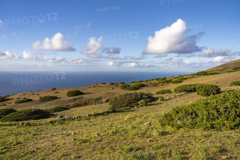 Landscape in the El Sabinar Biosphere Reserve