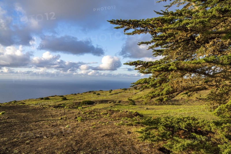 Landscape in the El Sabinar Biosphere Reserve