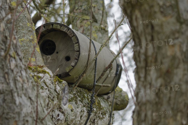 Owl nest box