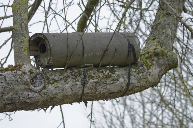 Owl nest box