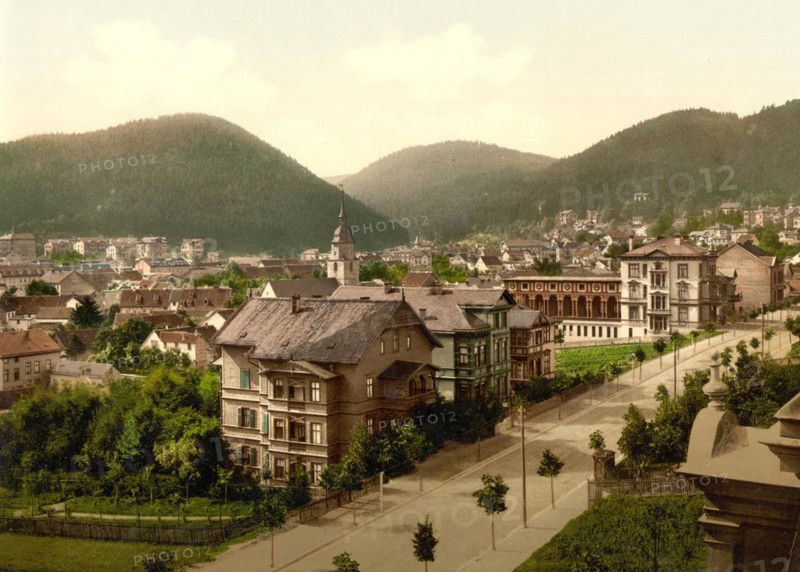 Friedrichrhoda in Thuringia