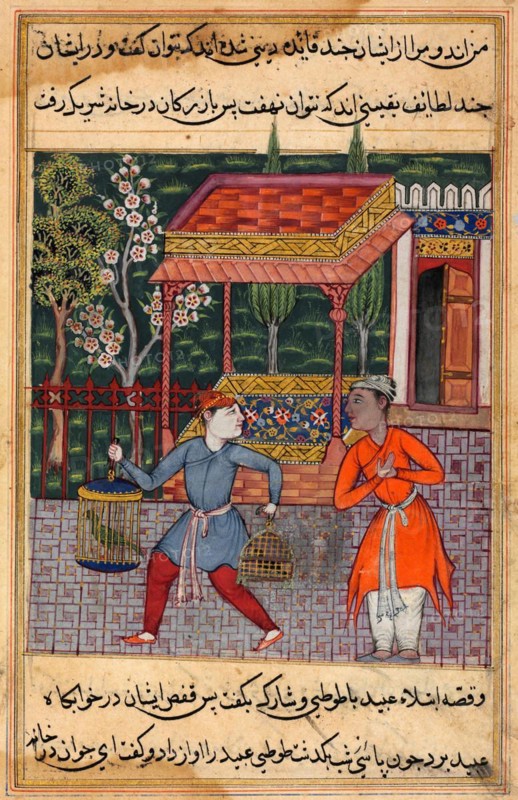 The merchant of Tirmiz brings the wise parrot and myna to 'Ubaid