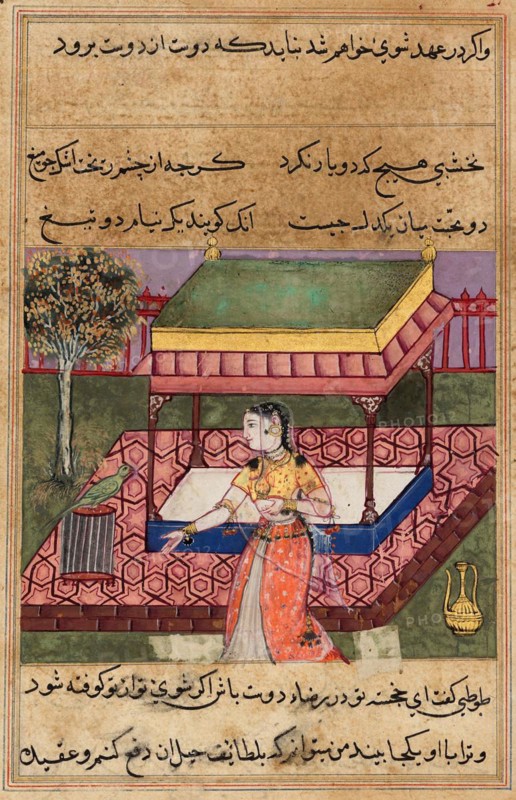 The parrot speaks to Khujasta at the beginning of the fortieth night