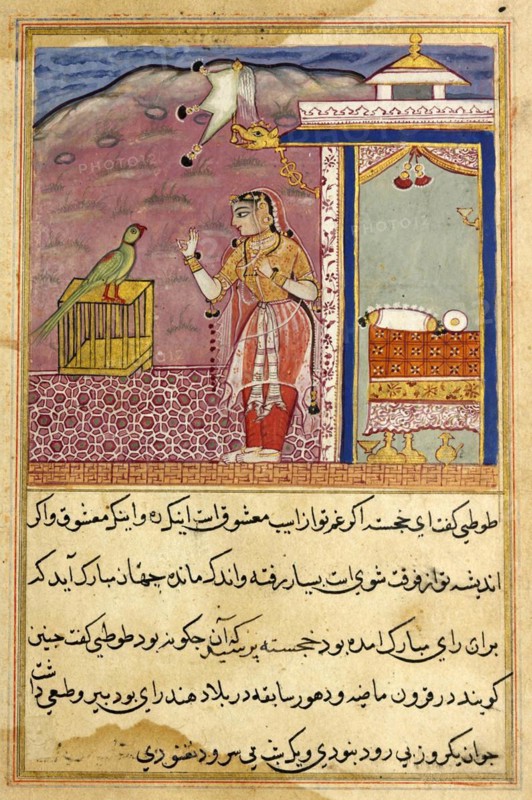 The parrot speaks to Khujasta at the beginning of the forty-fourth night