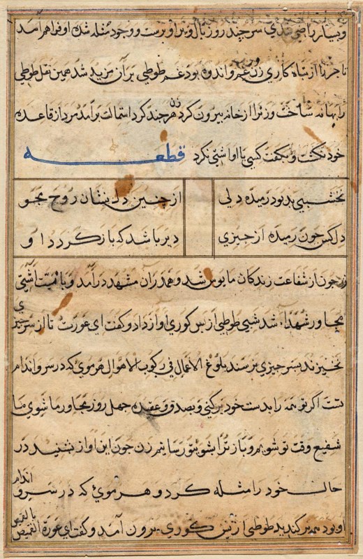 Page from Tales of a Parrot