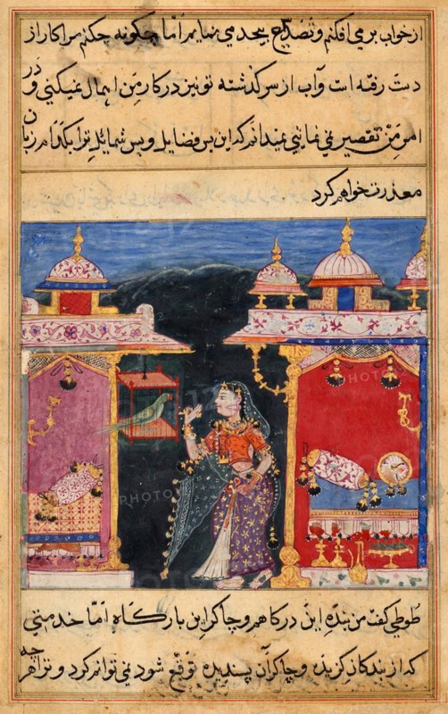 The parrot speaks to Khujasta at the beginning of the seventh night