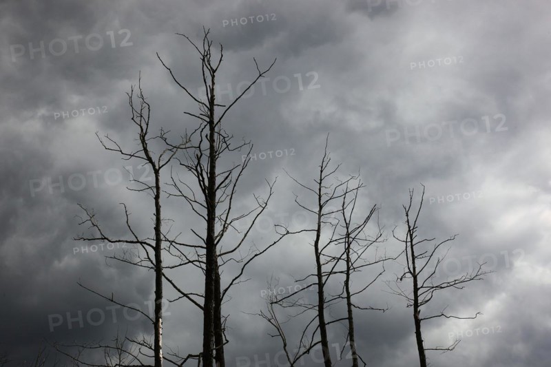 Drought