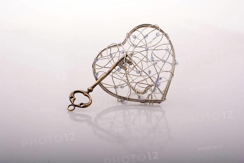 Key and a heart shaped metal cage on white
