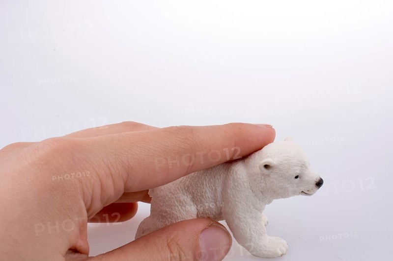 Hand holding White Polar bear model