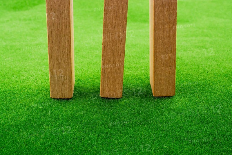 Wooden dominos on green grass